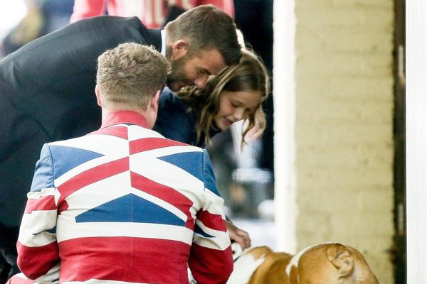 上次輸球還是9月！利物浦不敵熱刺，各賽事24場(chǎng)不敗遭終結