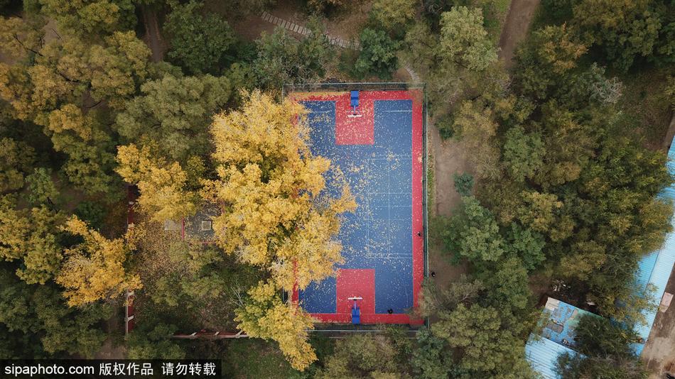 時(shí)隔5年出山！阿斯：齊達內世界杯后執教法國 皇馬未考慮讓他回歸