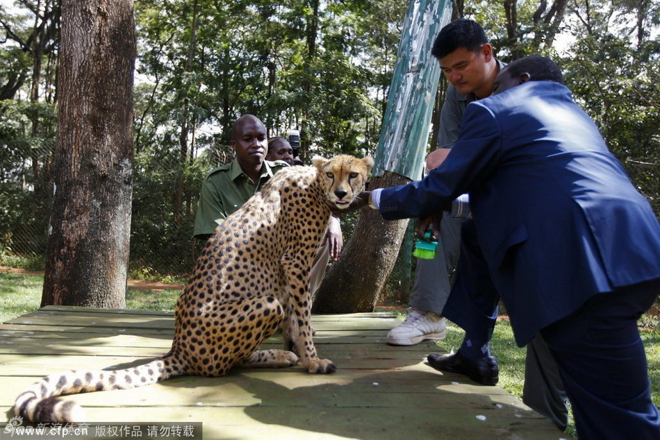 新月同行岡底斯技能怎么